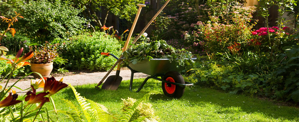 Garden Maintenance
