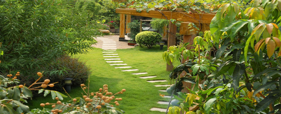 Garden Maintenance